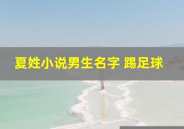 夏姓小说男生名字 踢足球